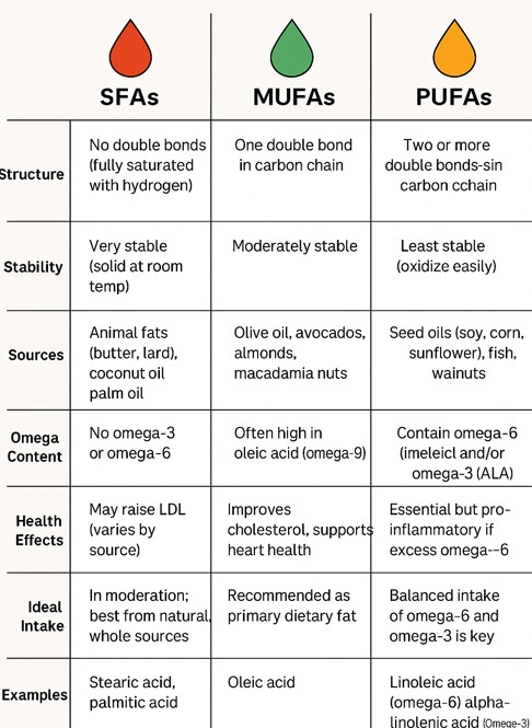 Ketogeic Food overview
